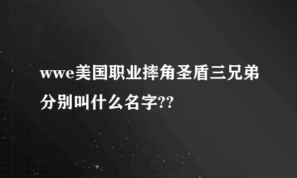 wwe美国职业摔角圣盾三兄弟分别叫什么名字??