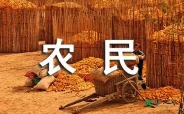 农民收入调查报告