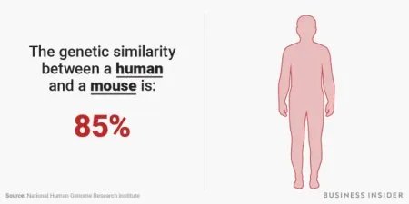 科学家证实，人类是从鱼类进化来的，进化过程大概是怎样的？