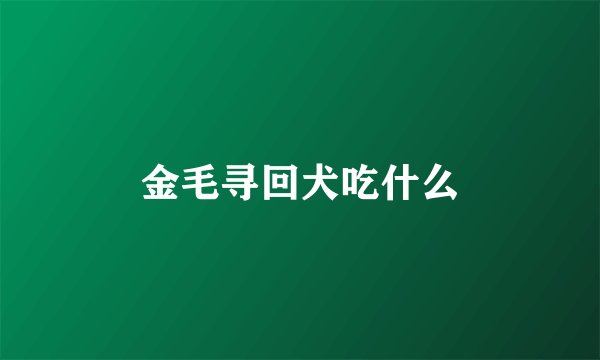 金毛寻回犬吃什么