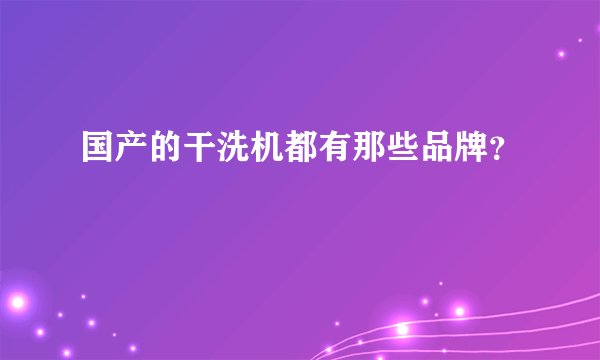 国产的干洗机都有那些品牌？
