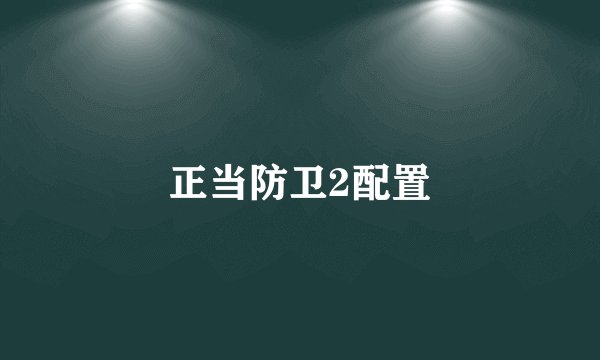 正当防卫2配置