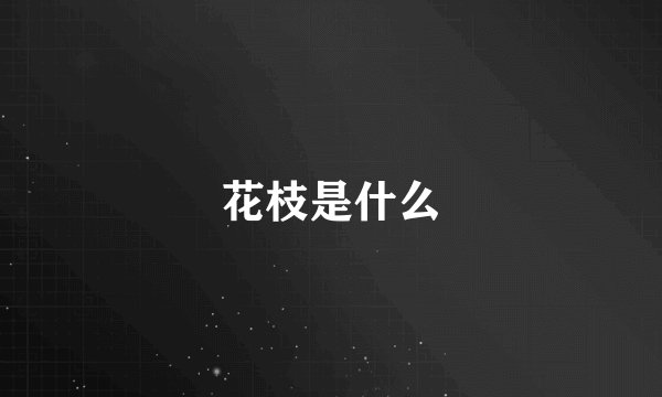 花枝是什么