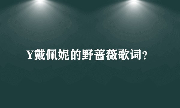 Y戴佩妮的野蔷薇歌词？