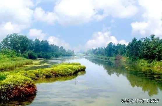中国共有哪些著名的湿地公园?