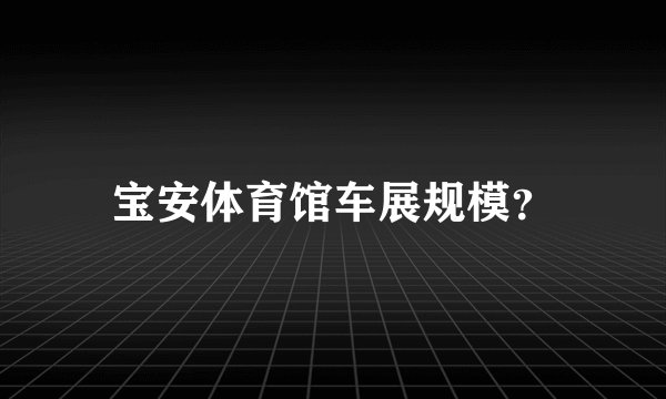宝安体育馆车展规模？