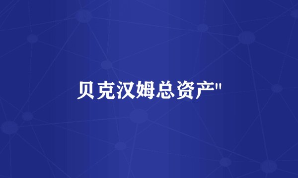 贝克汉姆总资产