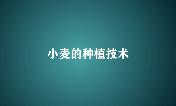 小麦的种植技术