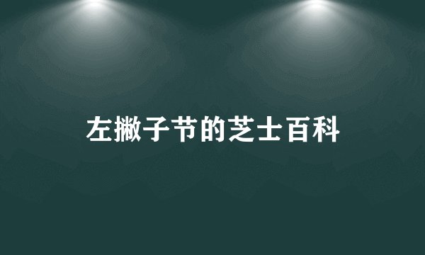 左撇子节的芝士百科