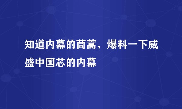 知道内幕的茼蒿,爆料一下威盛中国芯的内幕