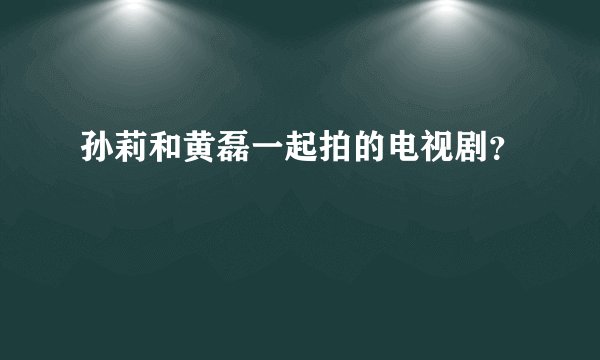 孙莉和黄磊一起拍的电视剧？