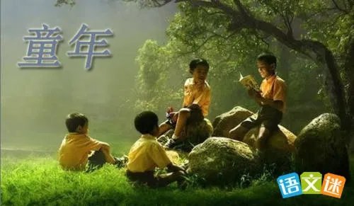 童年岁月