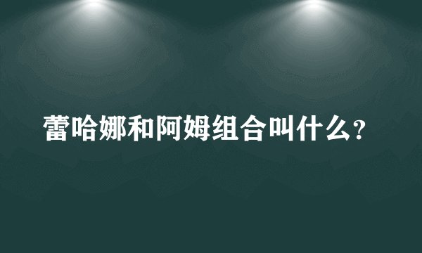 蕾哈娜和阿姆组合叫什么？
