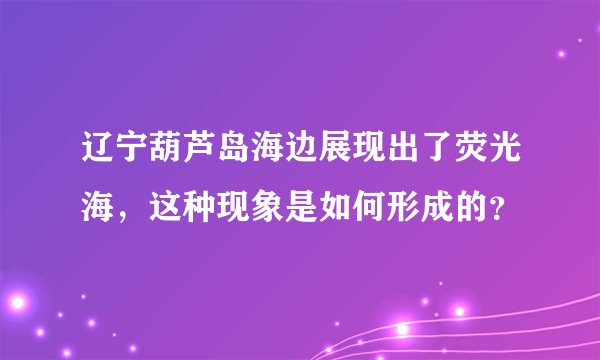 辽宁葫芦岛海边展现出了荧光海，这种现象是如何形成的？