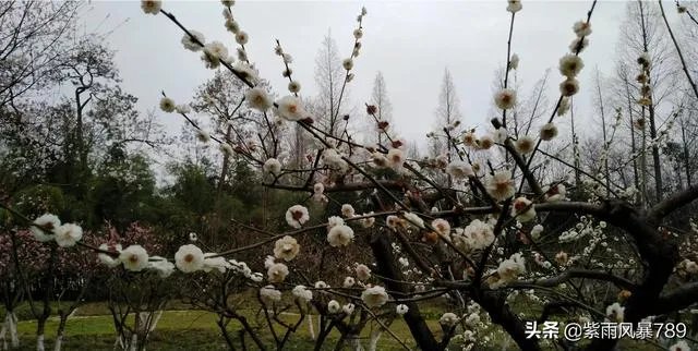 在这个三八妇女节,你对心中的女神最想说什么话?