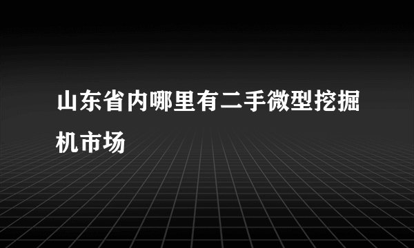 山东省内哪里有二手微型挖掘机市场