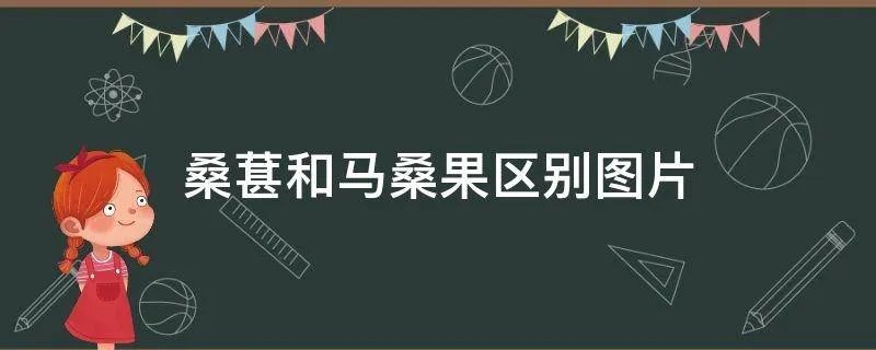 桑葚和马桑果区别图片
