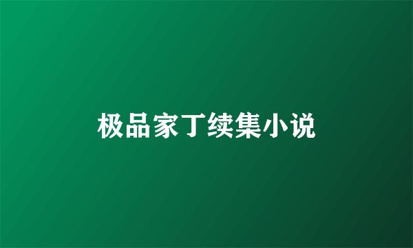 极品家丁续集小说