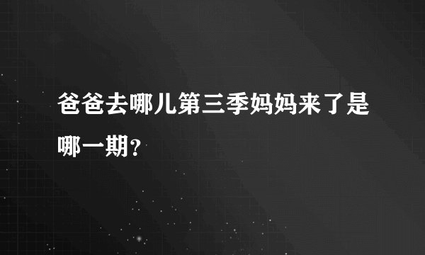 爸爸去哪儿第三季妈妈来了是哪一期？