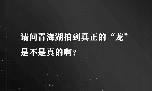 请问青海湖拍到真正的“龙”是不是真的啊？