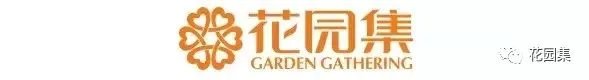纯天然庭院鱼池打造攻略,生态、省心又实惠!赶紧收藏
