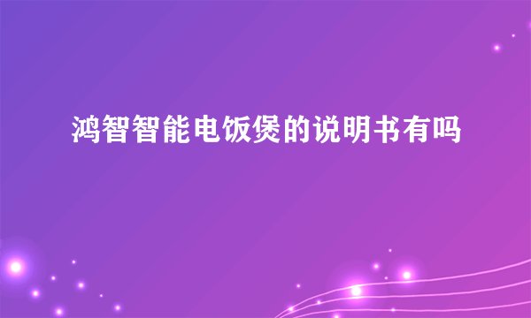 鸿智智能电饭煲的说明书有吗