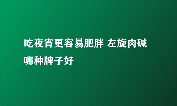 吃夜宵更容易肥胖 左旋肉碱哪种牌子好