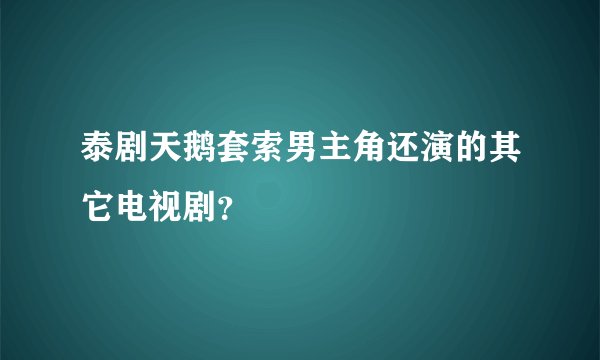 泰剧天鹅套索男主角还演的其它电视剧?