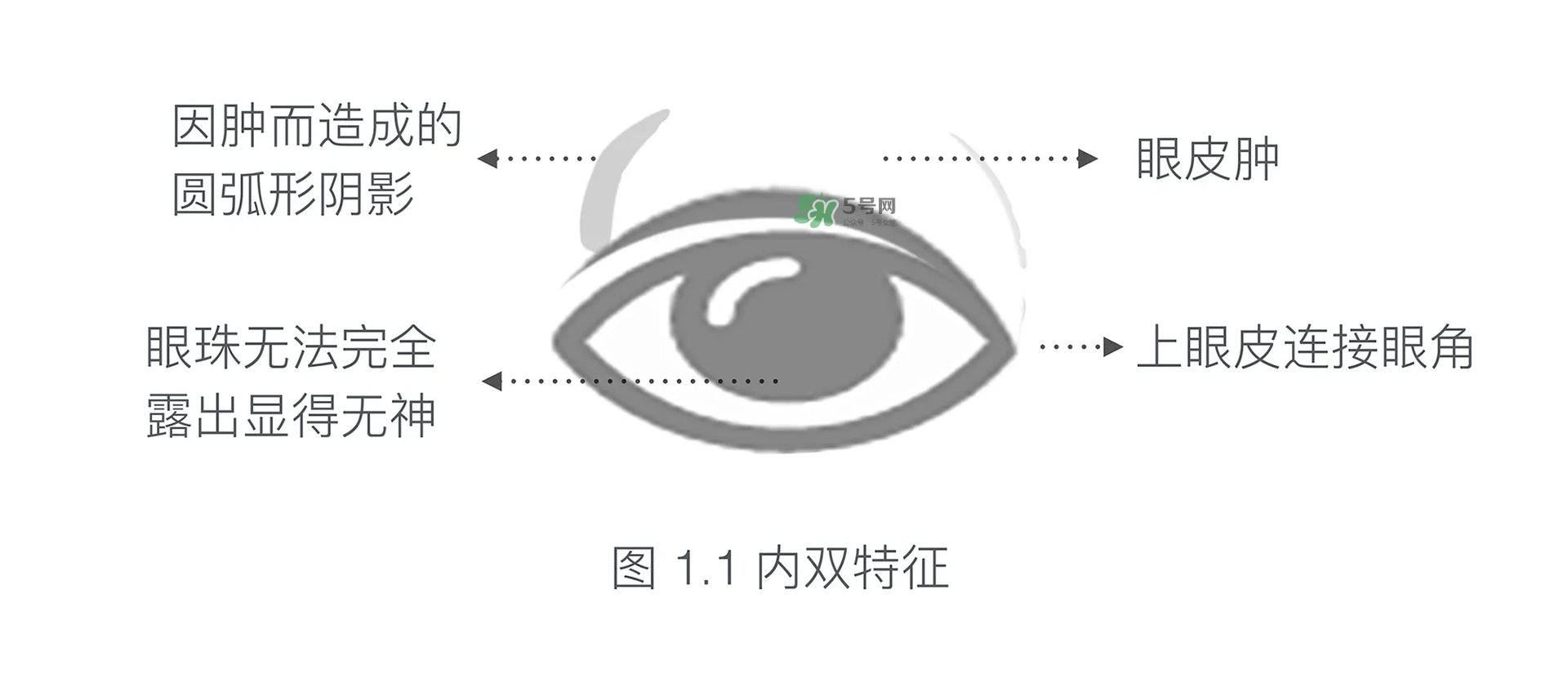 内双眼妆画法及步骤图片 日常内双眼妆的画法