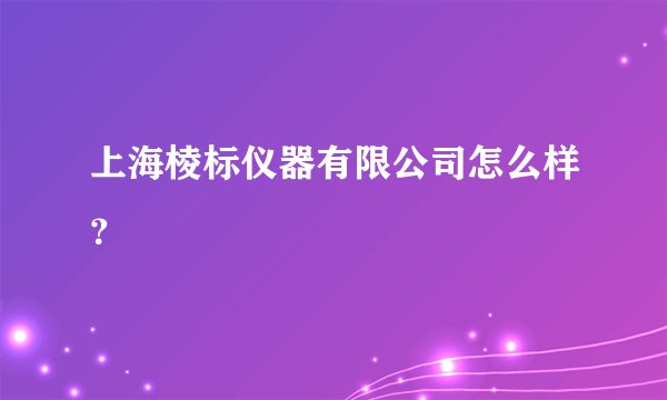 上海棱标仪器有限公司怎么样？