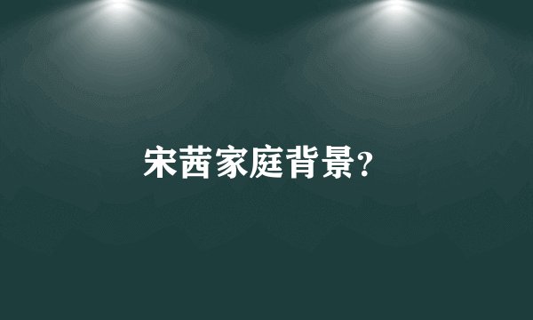宋茜家庭背景？