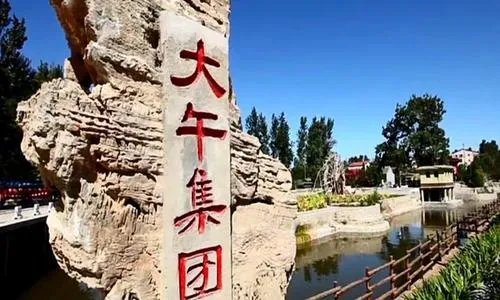 国内知名农民企业家孙大午被抓,事情的原委是什么?