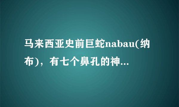 马来西亚史前巨蛇nabau(纳布)，有七个鼻孔的神秘蛟龙(长30米) - 飞外网