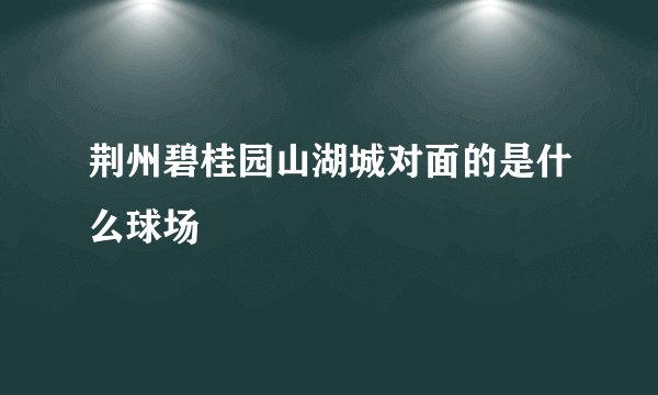 荆州碧桂园山湖城对面的是什么球场