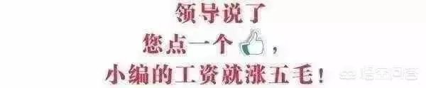 传销别人来找就哭