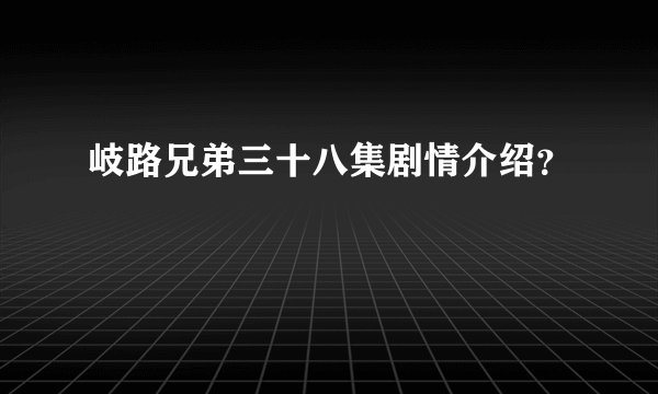 岐路兄弟三十八集剧情介绍？