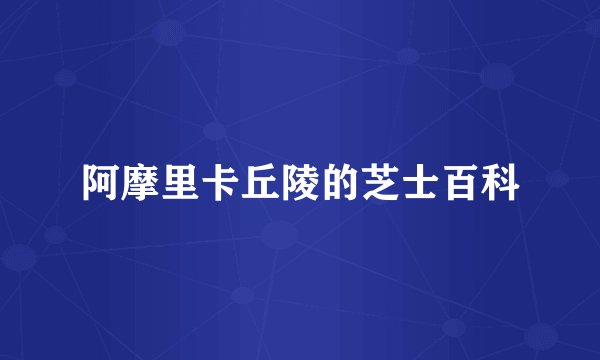 阿摩里卡丘陵的芝士百科