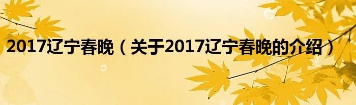 2017辽宁春晚（关于2017辽宁春晚的介绍）