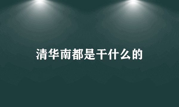清华南都是干什么的