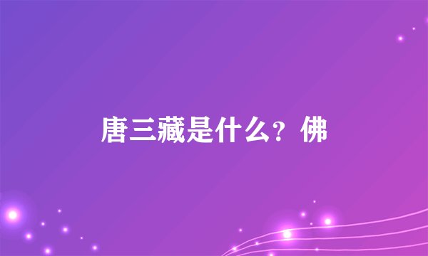 唐三藏是什么?佛