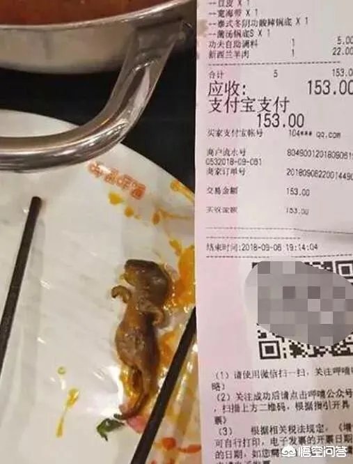 孕妇吃火锅捞出老鼠,店家疑称“给2万把孩子打了”,对此你怎么看?