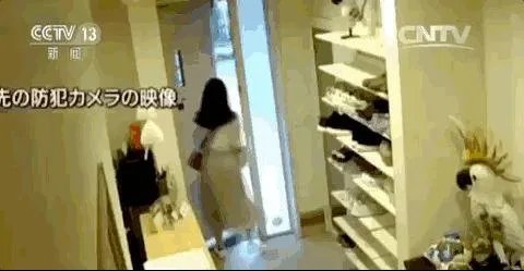 危秋洁老师的最后几天都遇到了什么事?