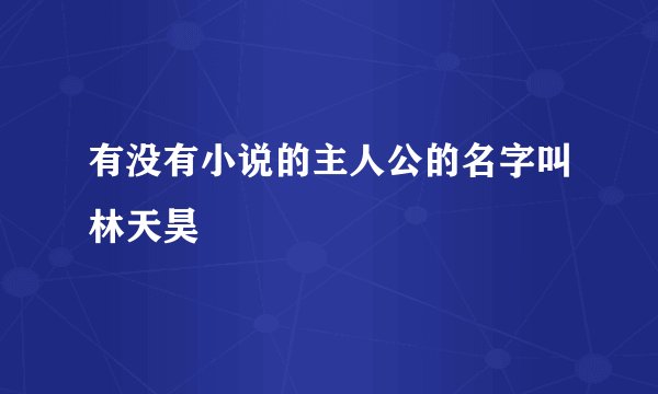 有没有小说的主人公的名字叫林天昊