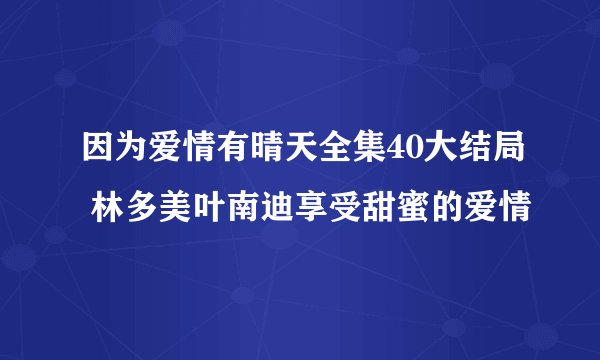 因为爱情有晴天全集40大结局 林多美叶南迪享受甜蜜的爱情