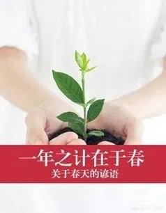 关于农业生产的俗语有哪些?