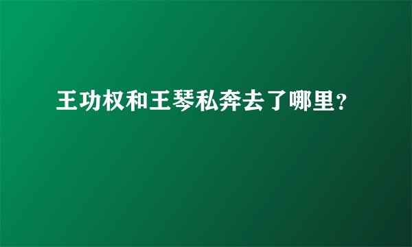 王功权和王琴私奔去了哪里？