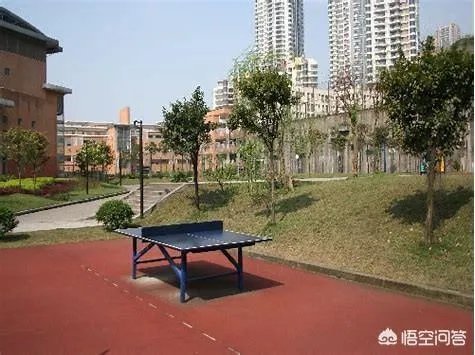 重庆最好的初中排名是怎样的？