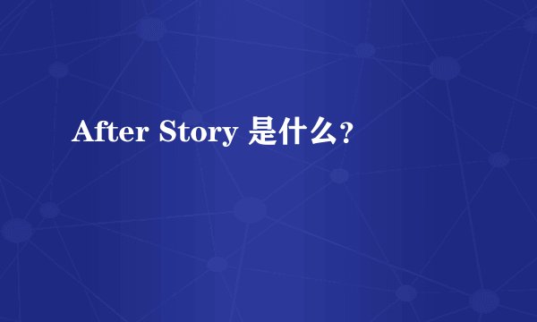After Story 是什么?