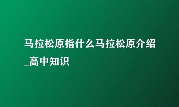 马拉松原指什么马拉松原介绍_高中知识