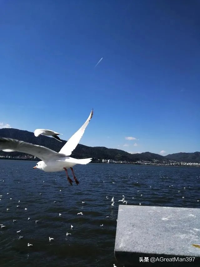 昆明房价5年涨8成,哪个片区发展得更好?